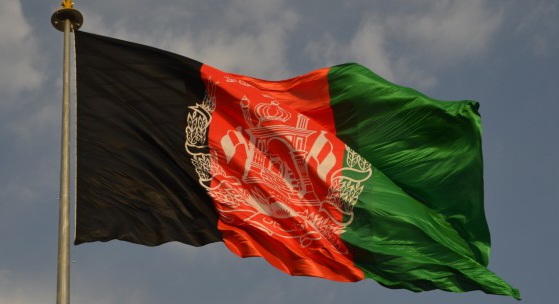 بعد اتهامها بتهريب الذهب.. الدبلوماسية الأفغانية الوحيدة تستقيل