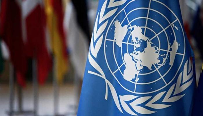  الأمم المتحدة تحذر.. دارفور معرضة لخطر المجاعة والموت