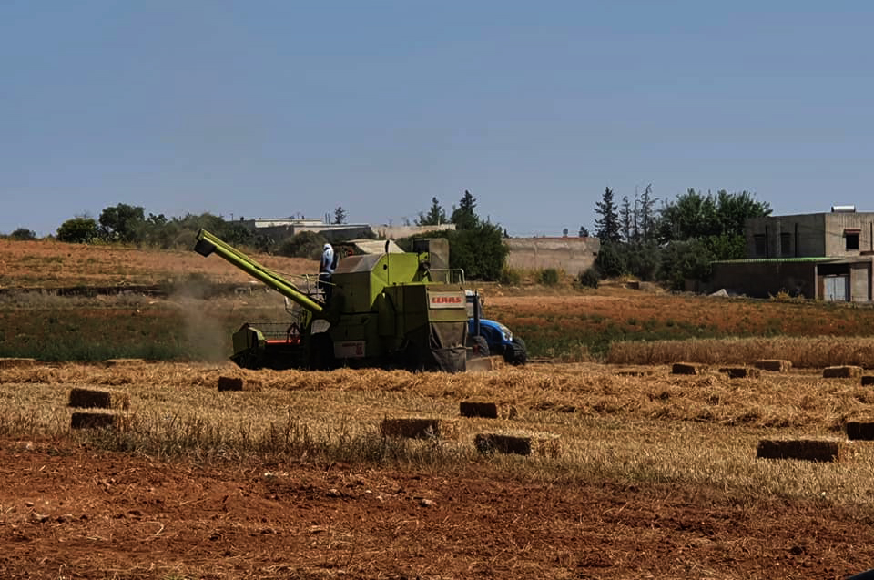 في غياب إجراءات تنعش القطاع الفلاحي.. النقابة التونسية للفلاحين مستاءة من قانون المالية