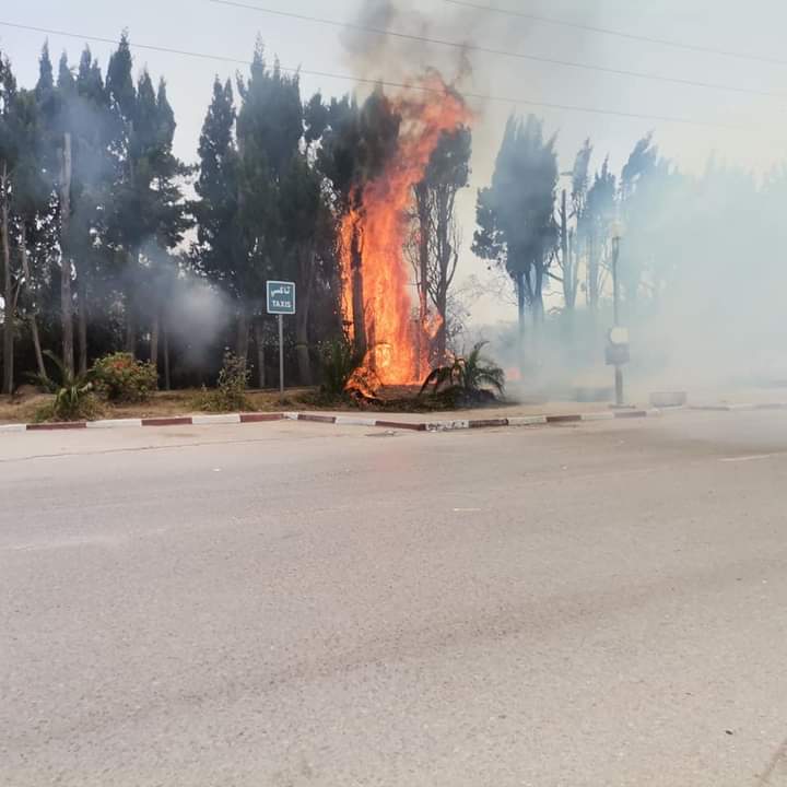  زاوية الجديدي..اندلاع حريق بضيعة فلاحية 