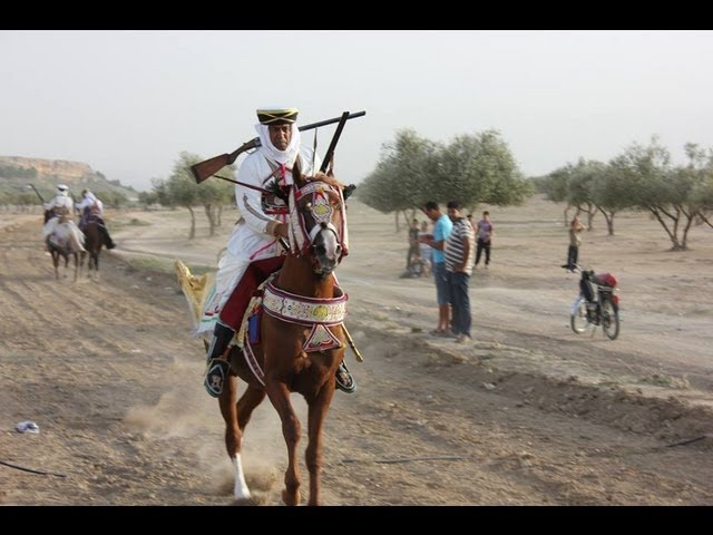  مهرجان تاجروين في دورته 41  ..مراوحة بين الفن والفروسية