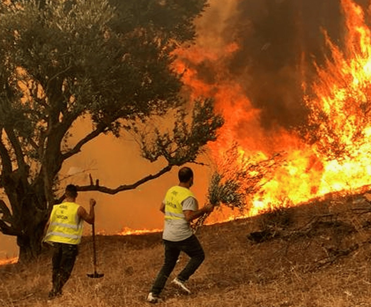 فرق الإطفاء الجزائرية تسيطر على غالبية الحرائق.. والحصيلة 38 قتيلاً على الأقل