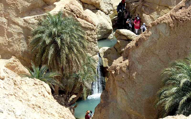 المجلس الجهوي للسياحة ينظر في إشكاليات القطاع بولاية توزر