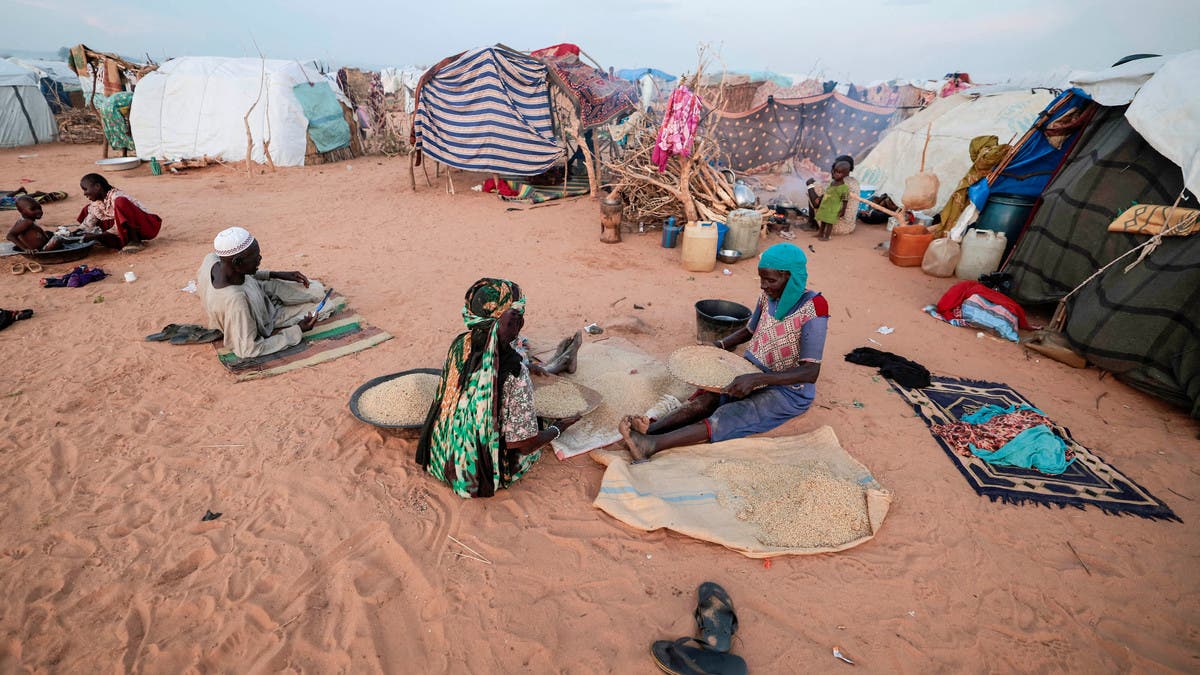  السودان.. عشرات القتلى بهجوم للدعم السريع على قرى في دارفور