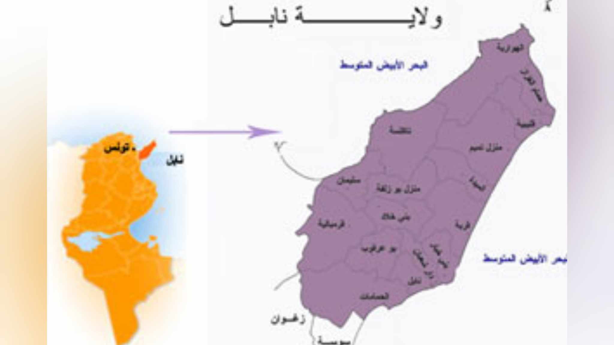 الميدة .. جوان القادم استئناف مجمع التنمية الفلاحي نشاطه