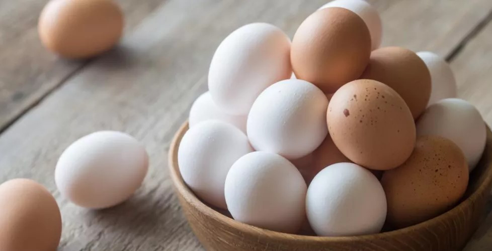 بمناسبة يوم البيض.. كم بيضة مسموح تناولها في اليوم؟
