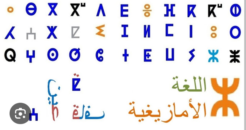  "غوغل" يدرج اللغة الأمازيغية ضمن خيارات الترجمة