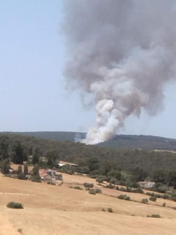 سجنان: اندلاع حريق في غابة جبل  الحكارة