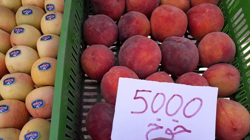 بالصور.. اسعار الخضر والغلال في طبربة 