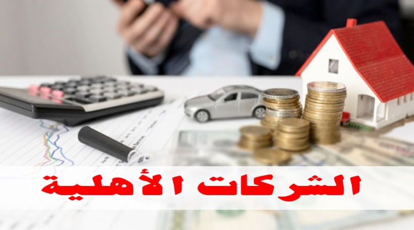 جلسة عمل حول المنصة الرقمية للشركات الأهلية