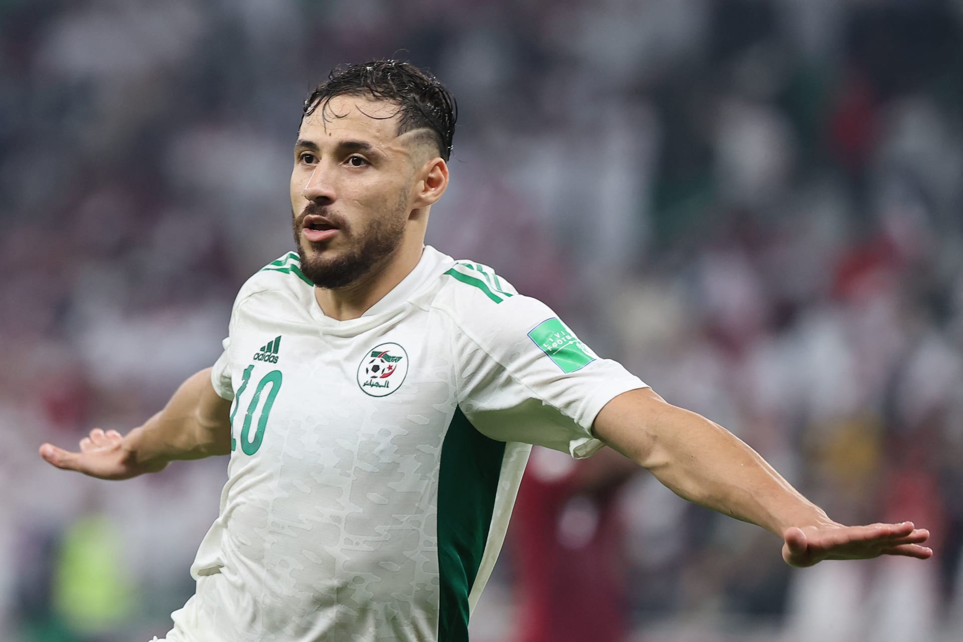  مدرب المنتخب الجزائري : "عودة البلايلي كانت بفضل ادائه الرائع مع الترجي" 