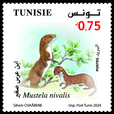 TP_ANIMAUX_40X40.jpg