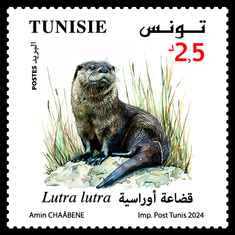 TP_ANIMAUX_40X404.jpg